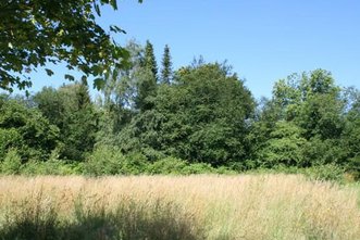 Grundstück Grünwald in Ruhiger Lage