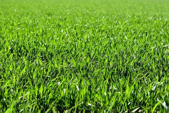 Grundstück in Südausrichtung - bebaubar mit Flachdach!