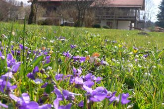 Landgut in ca. 30 Min. Entfernung zu München - traumhafter Blick über das Isartal!