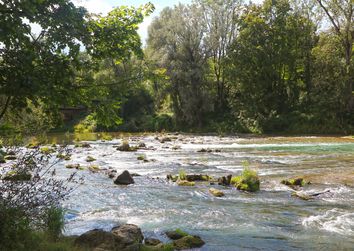 Natur in und um München