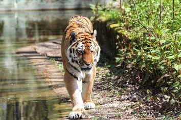 Münchner Tierpark Hellabrunn